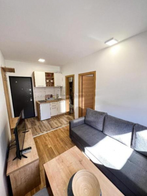 Srebrena Vila apartman 1 Jahorina